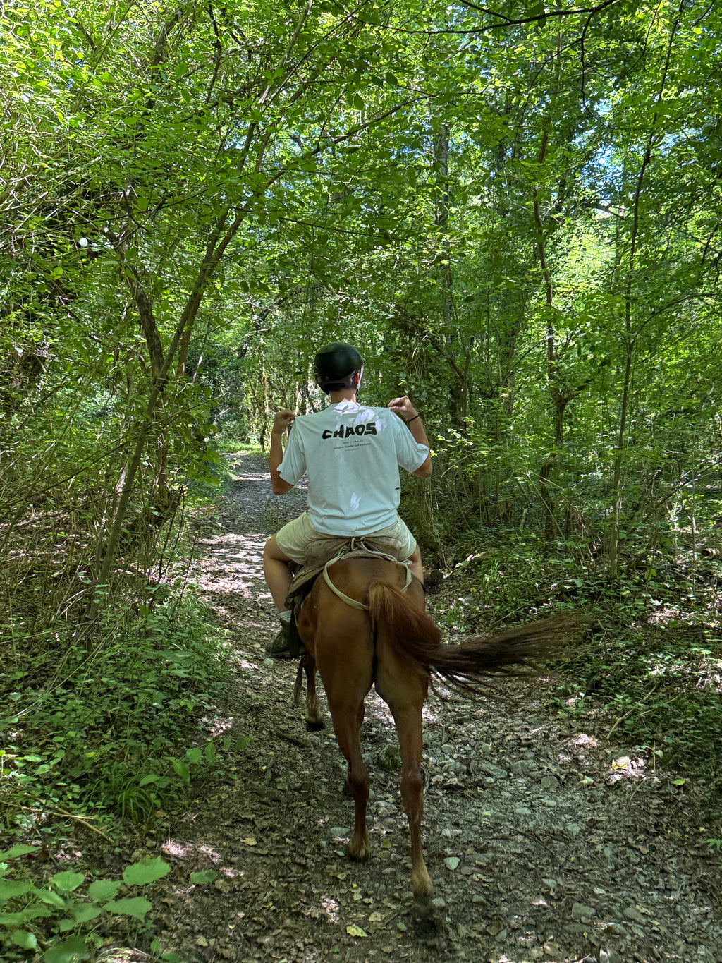 Person riding a horse in a forest setting